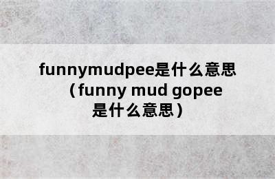 funnymudpee是什么意思（funny mud gopee是什么意思）